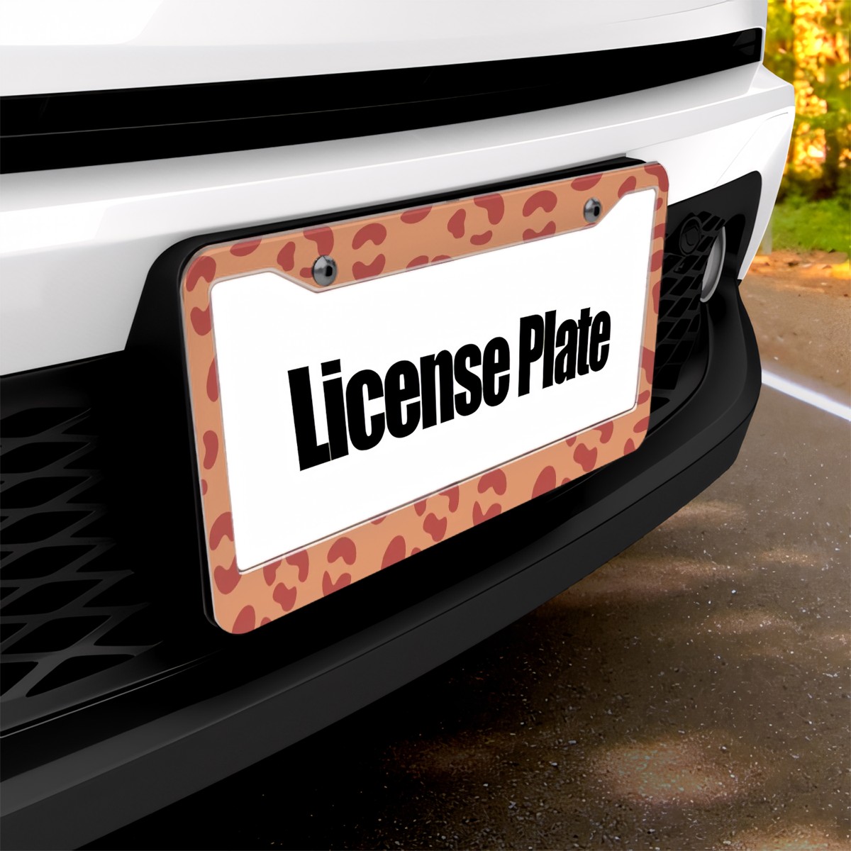 Flat Hole License Plate Frame 2pcs