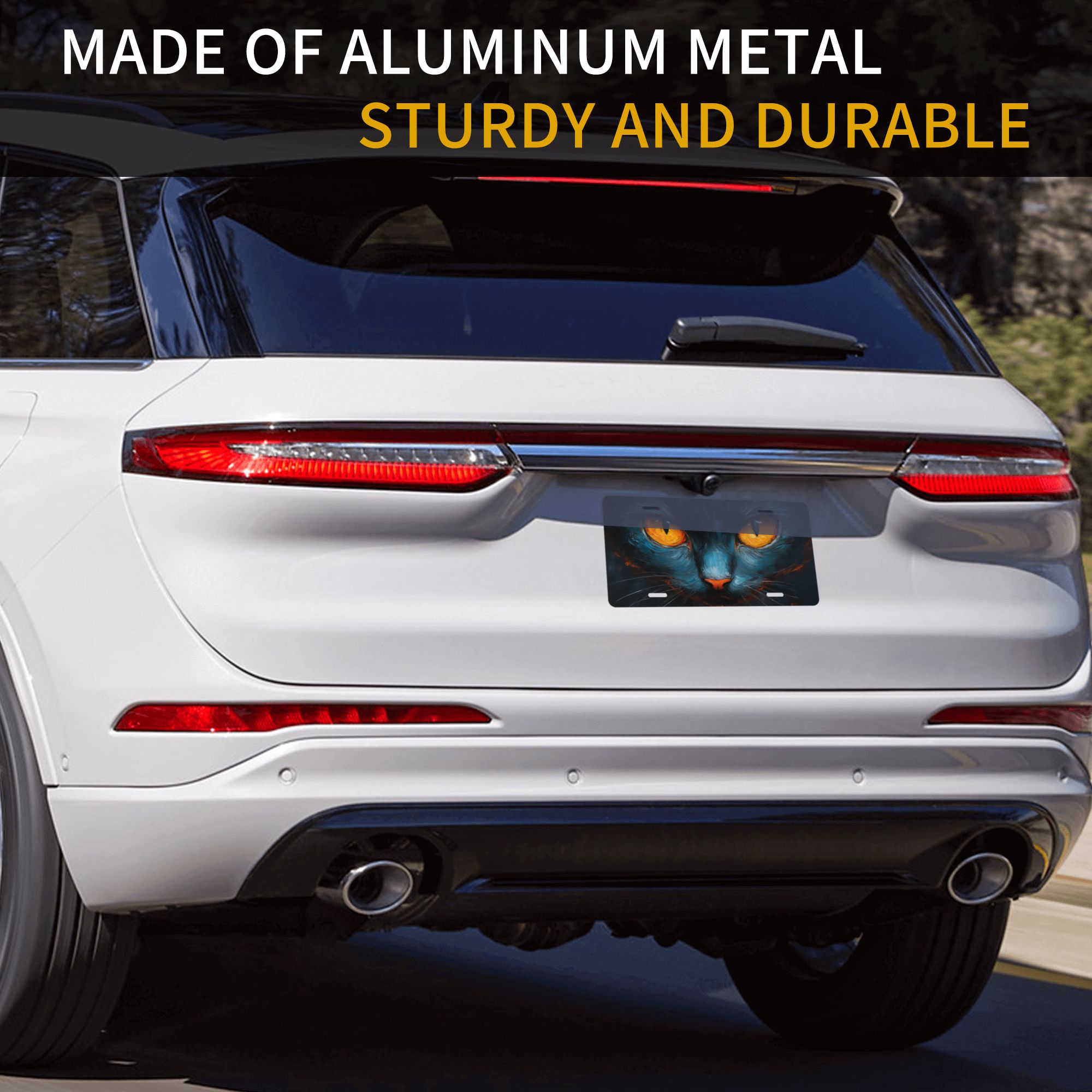 Aluminum Thick License Plate