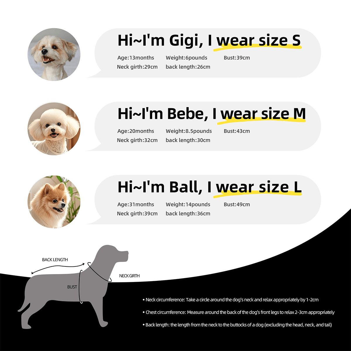 メッシュ犬用シャツ