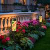 Outdoor Solar Lights Outdoor Solar Lights