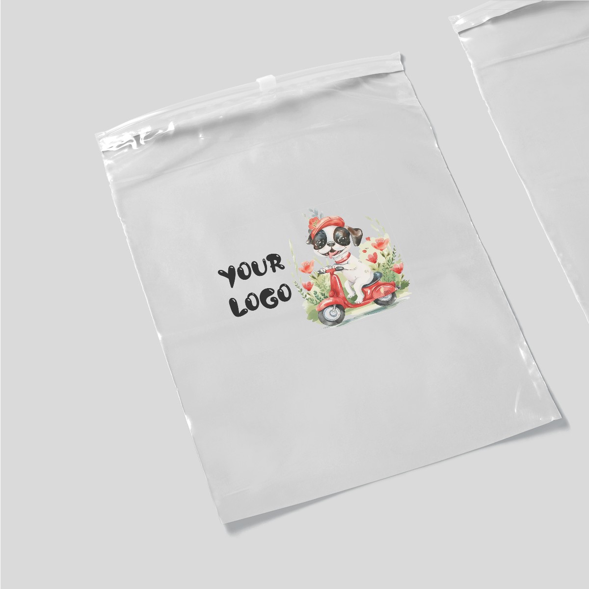 Packaging Bags