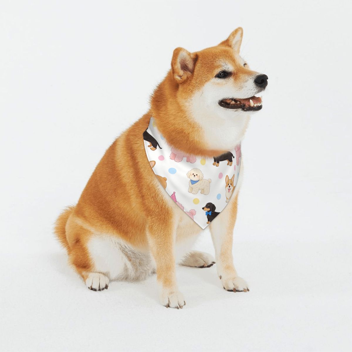 Pañuelos para perros de doble cara con hebilla