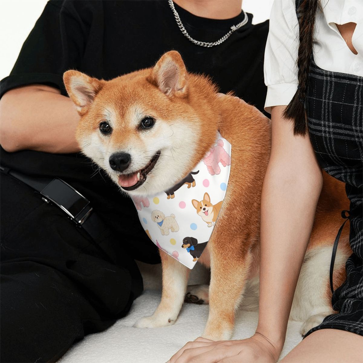 Pañuelos para perros de doble cara con hebilla