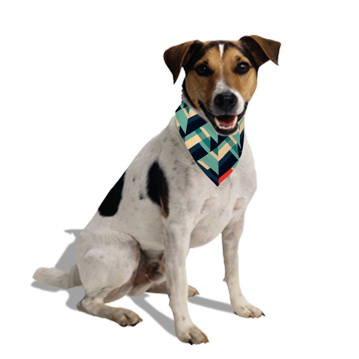 Dog Bandanas Double Sided with Buckle