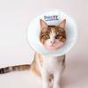 Pet Elizabethan Collar Pet Elizabethan Collar
