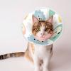 Pet Elizabethan Collar Pet Elizabethan Collar