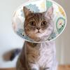 Pet Elizabethan Collar Pet Elizabethan Collar