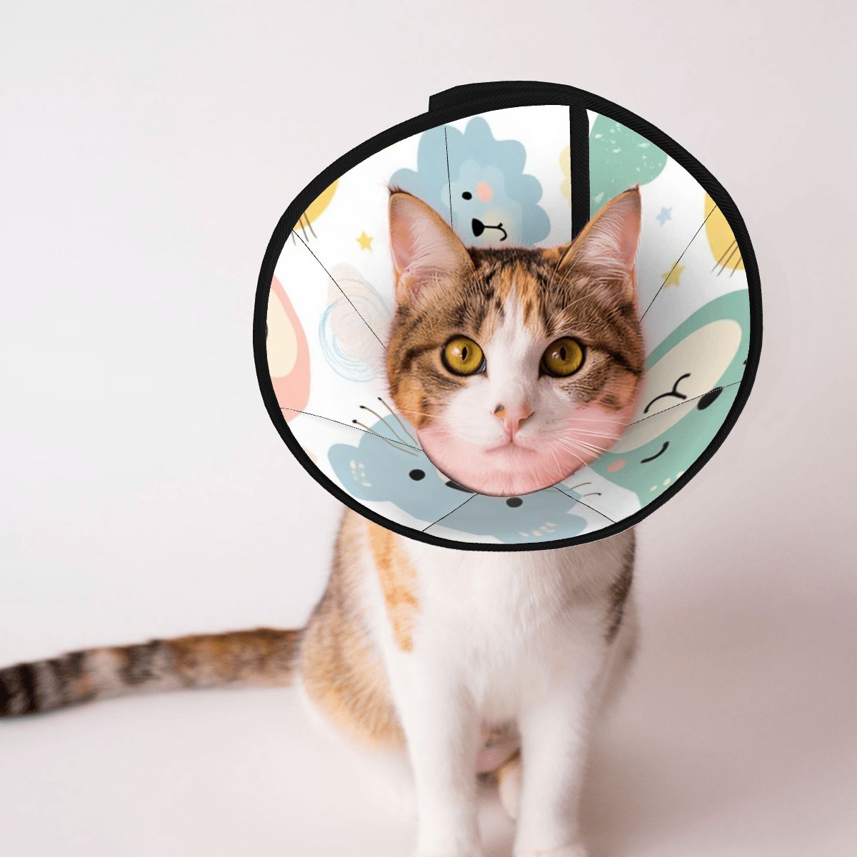 Pet Elizabethan Collar