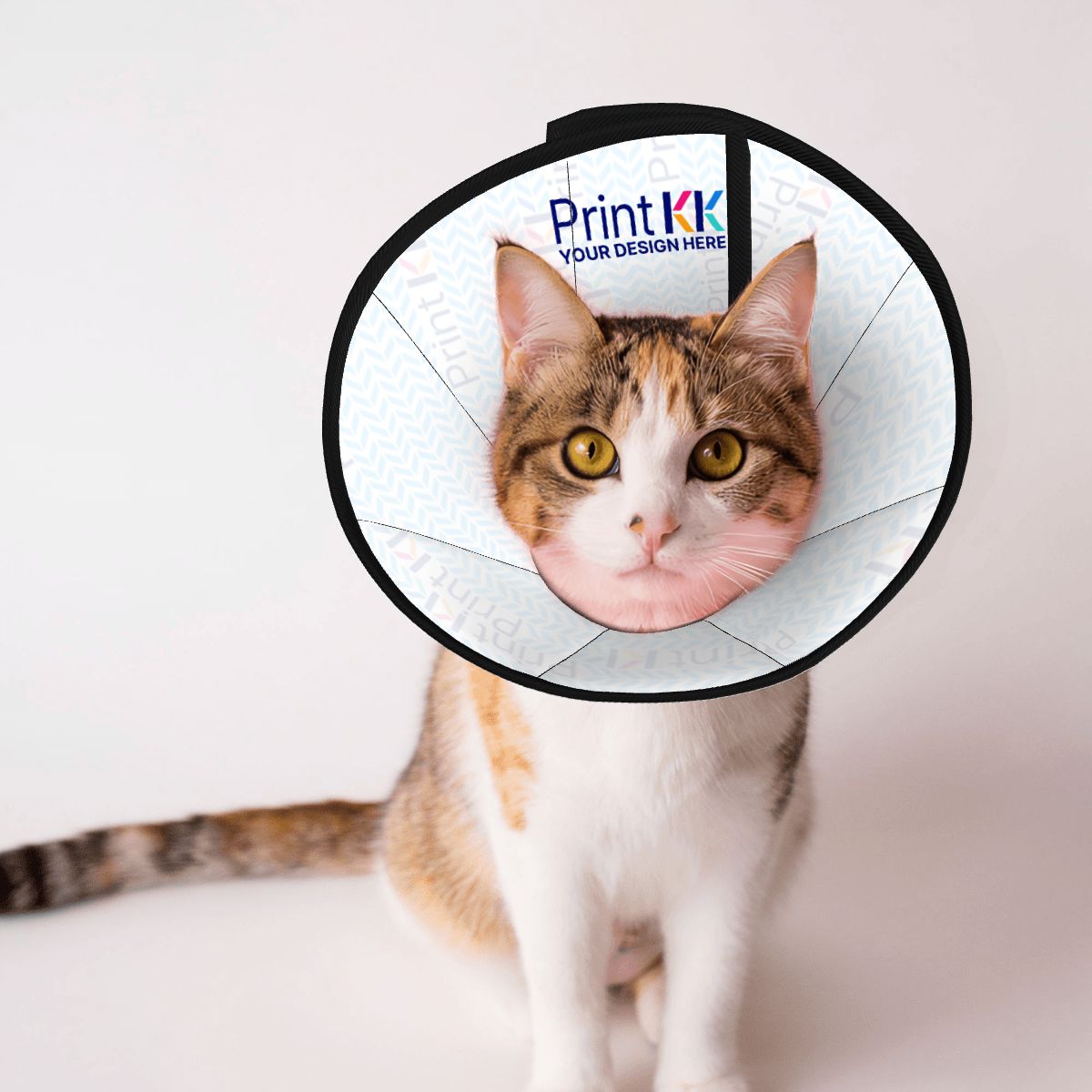 Pet Elizabethan Collar