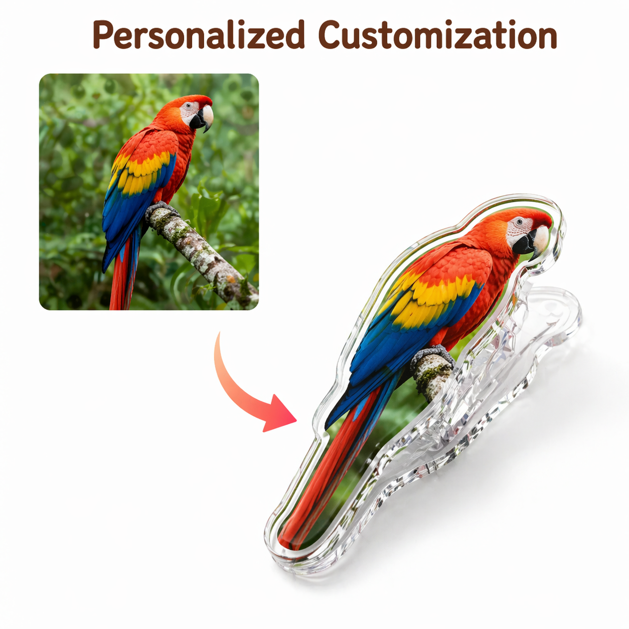 Shaped Acrylic PP Functional Clip
