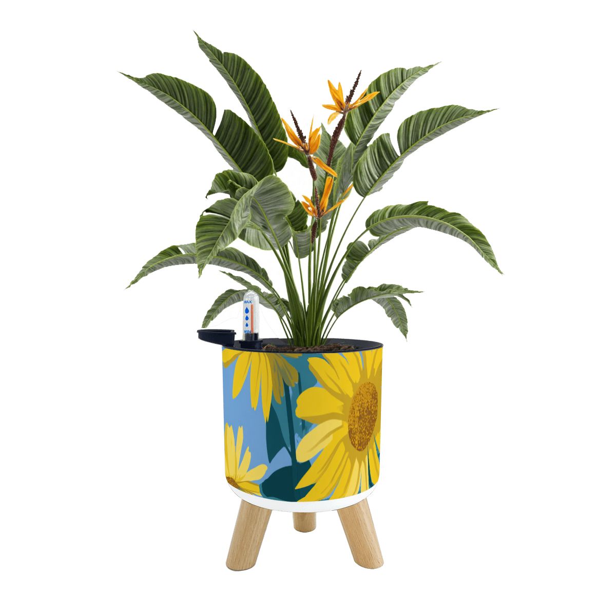 Small Plant Pots with Legs Set of 3