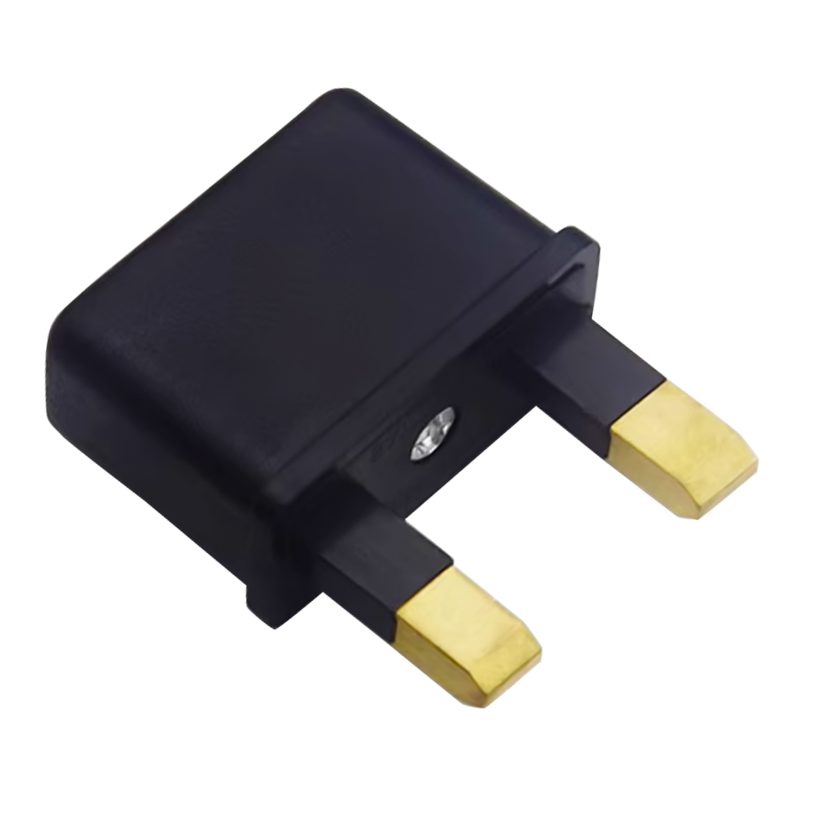 UK Plug Adapter (2-Pin)